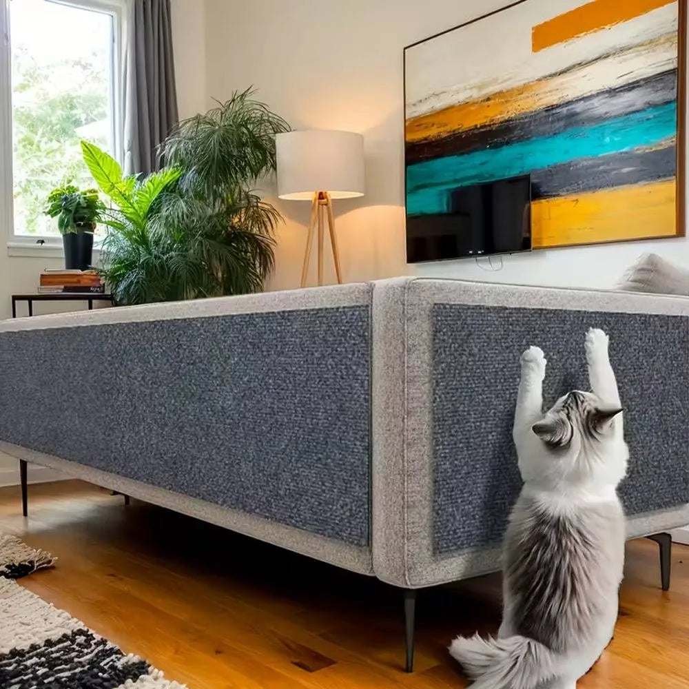 ScratchPaws Protector